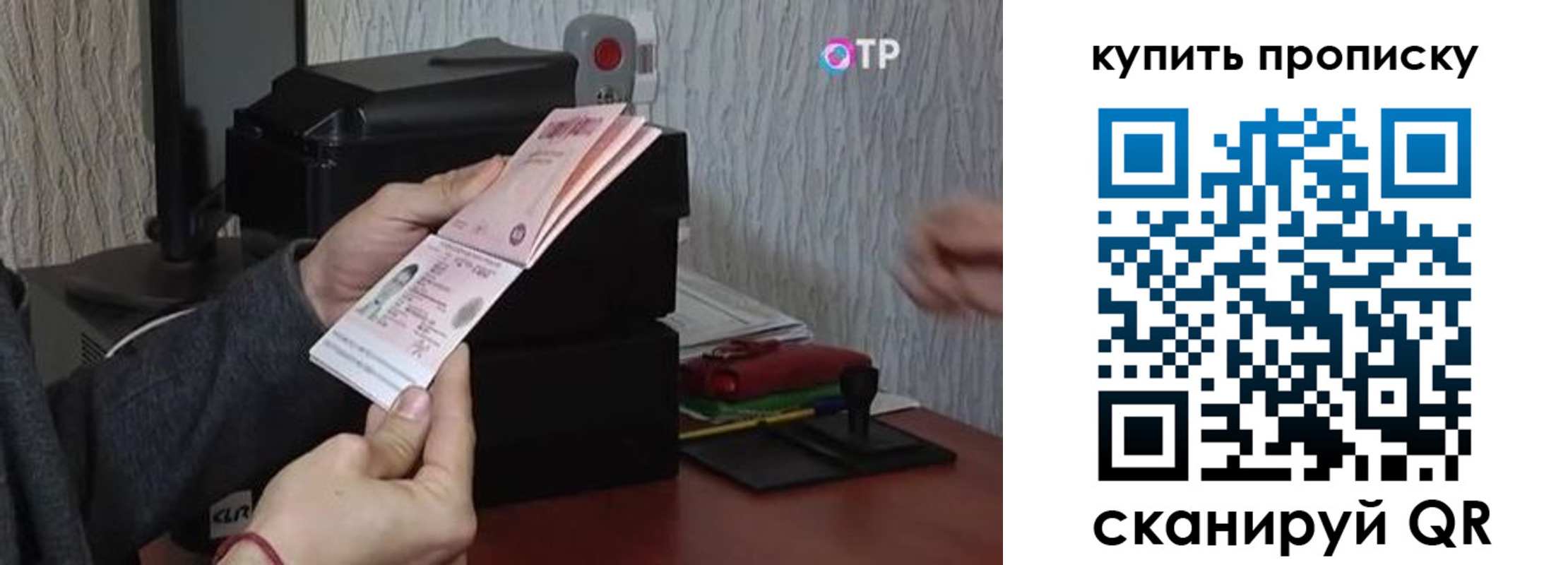 прописка гарантия в Сегеже