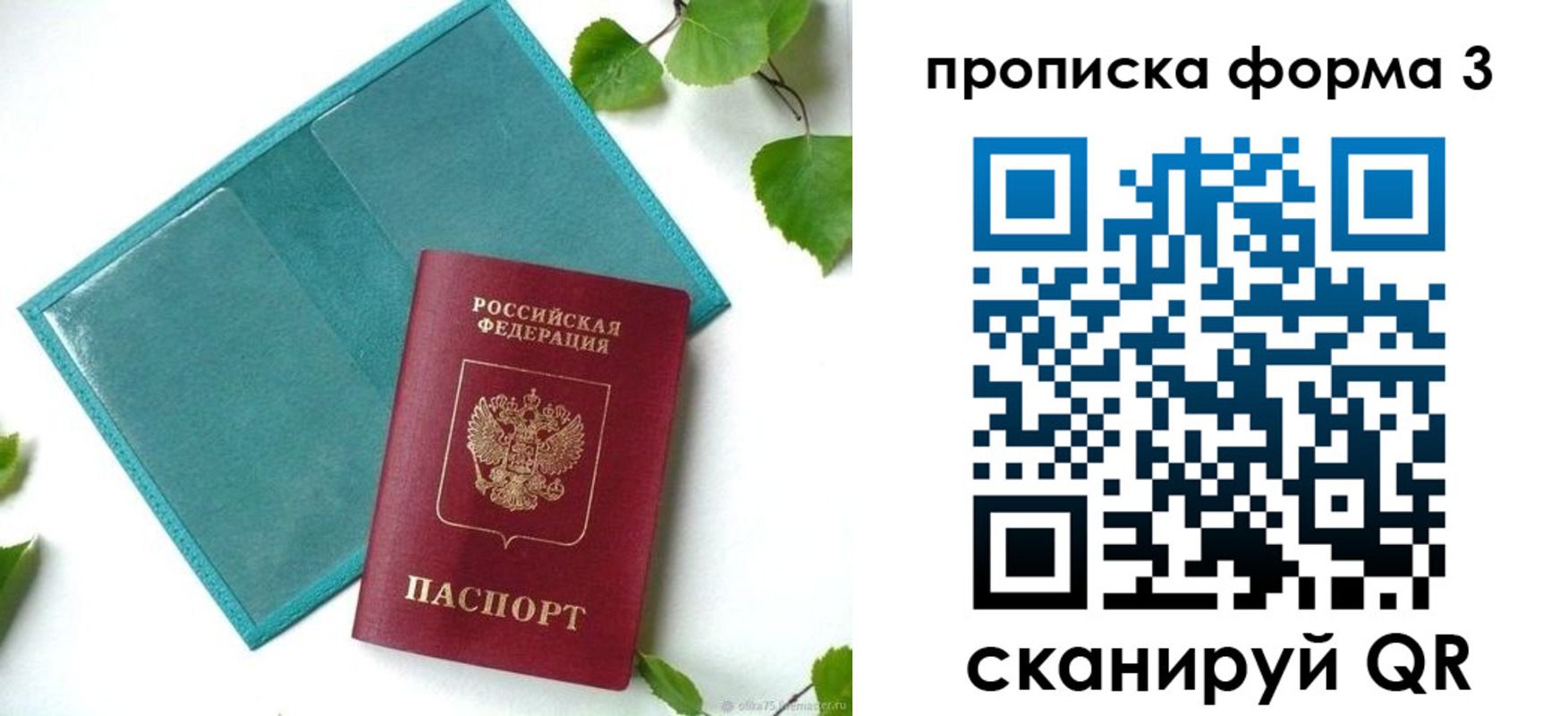 прописка ребенка в Сегеже